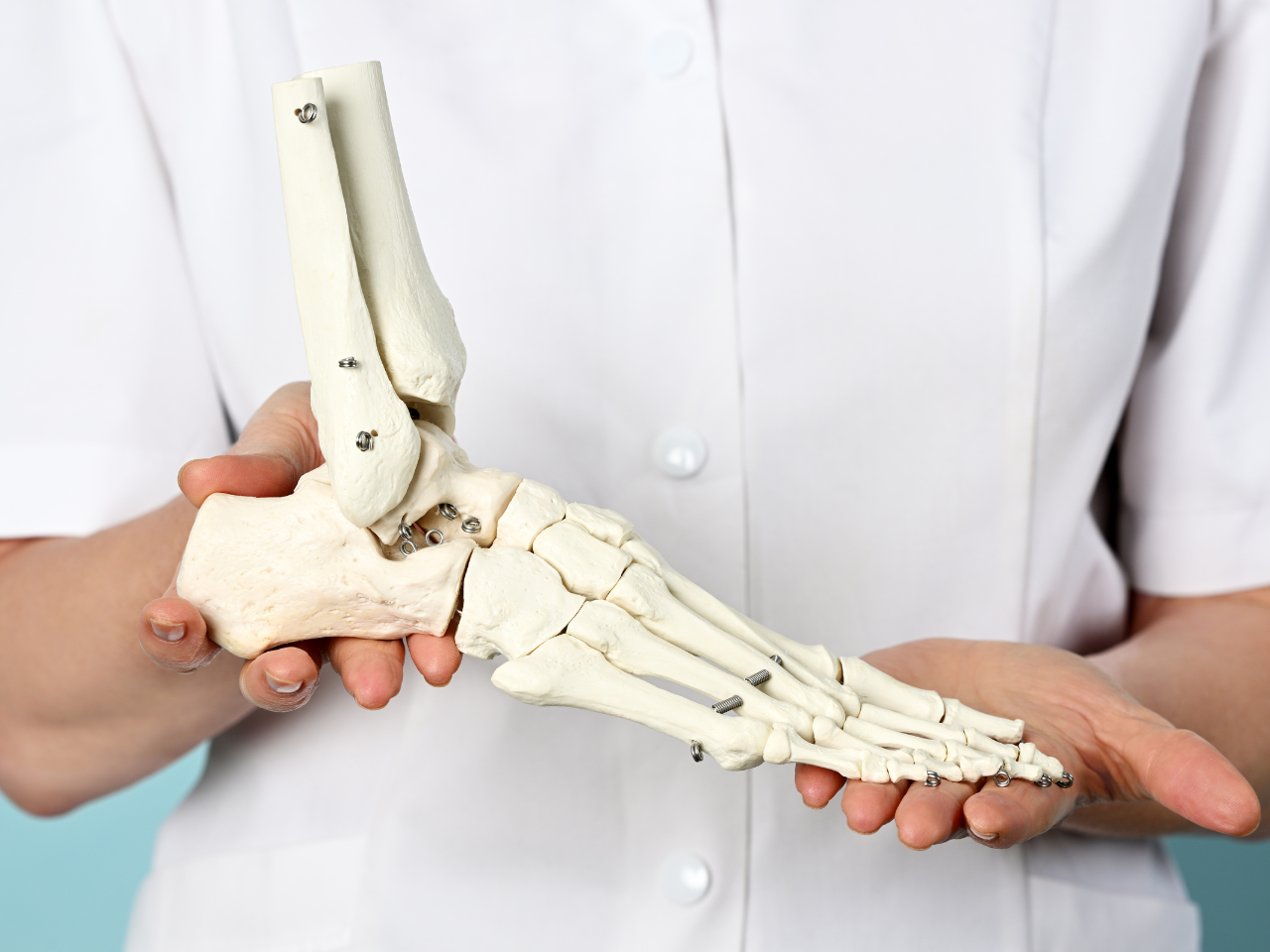 Orthopaedics Department