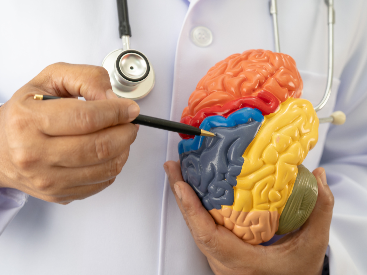 Neurology and Stroke