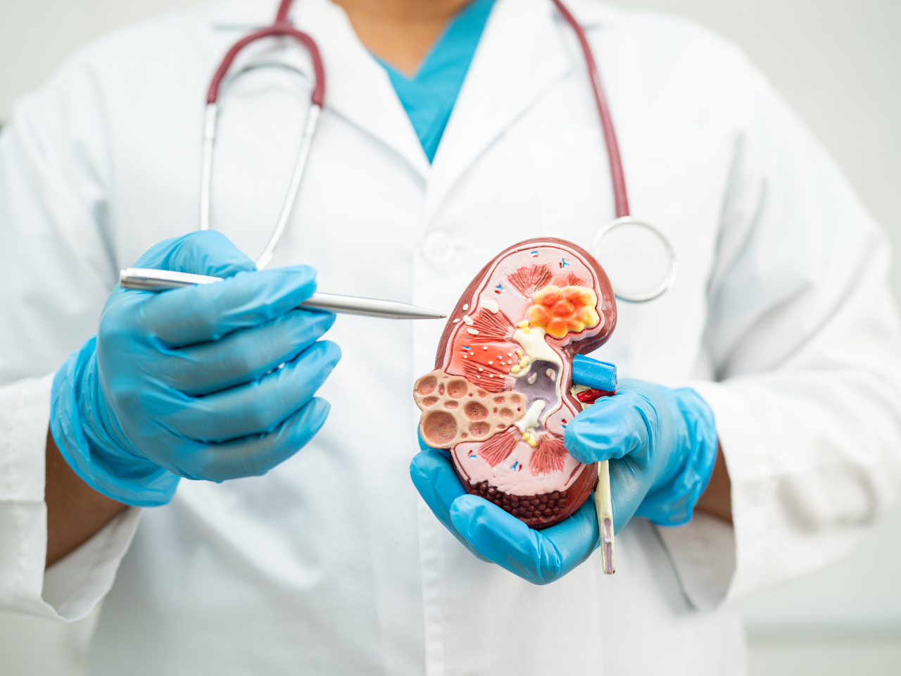 Neurology and Neurosurgery Department