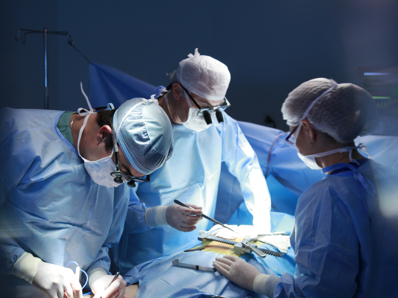 Nephrology and Urosurgery